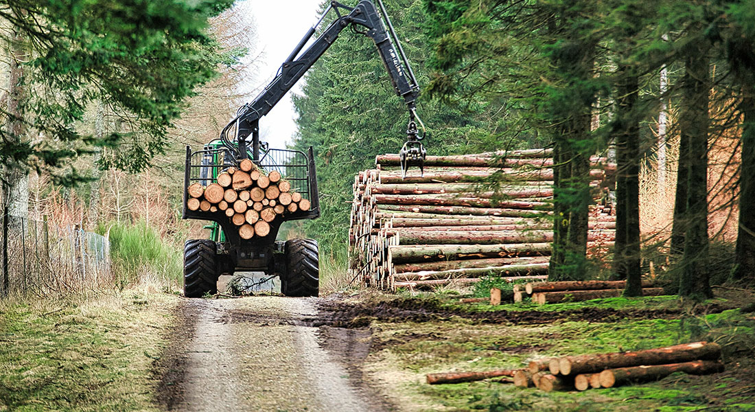 Skovbrugskonferencen 2024