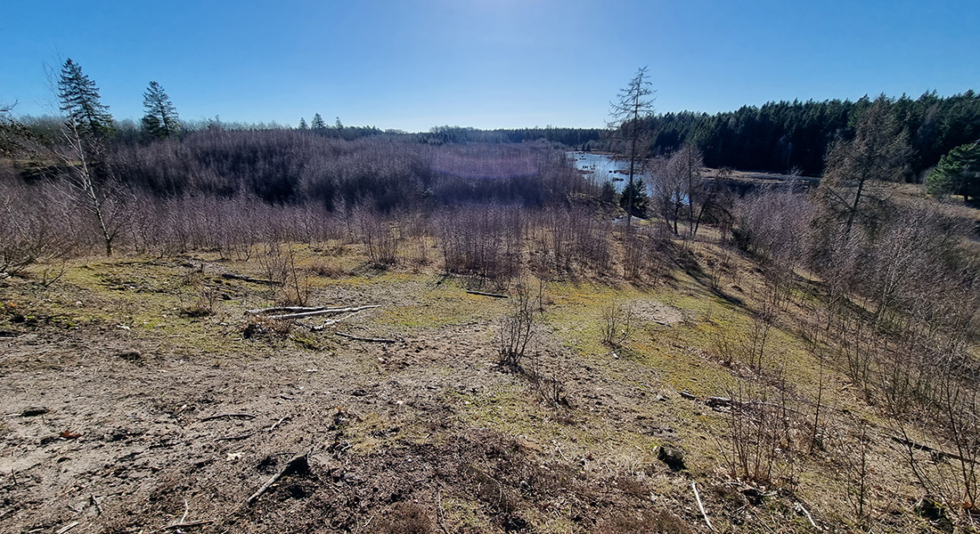 Naturforvaltningskonferencen