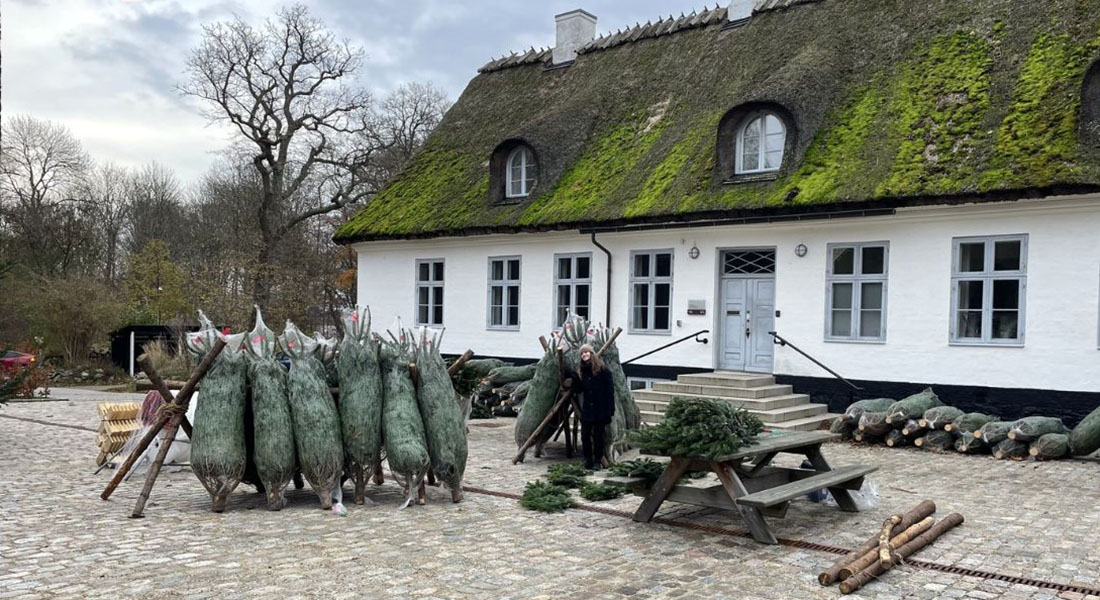 Skovskolens julemarked