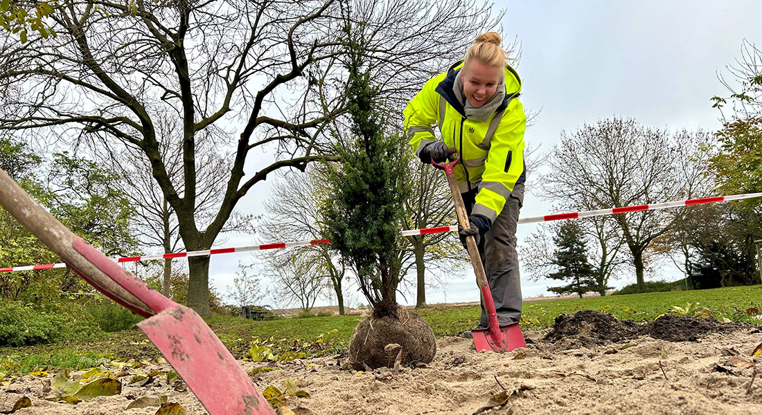 Sofie Amundsen er i praktik i Københavns Kommune som urban landskabsingeniør