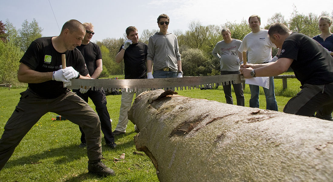 Teambuilding i skoven Teambuilding i skoven