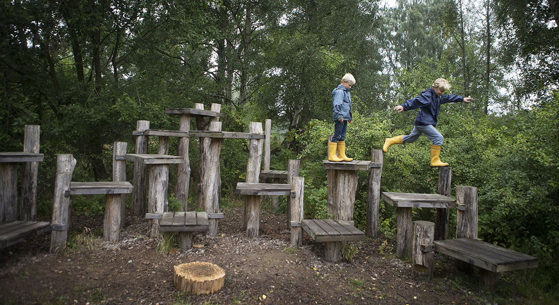 Børn leger i skov Børn leger i skov