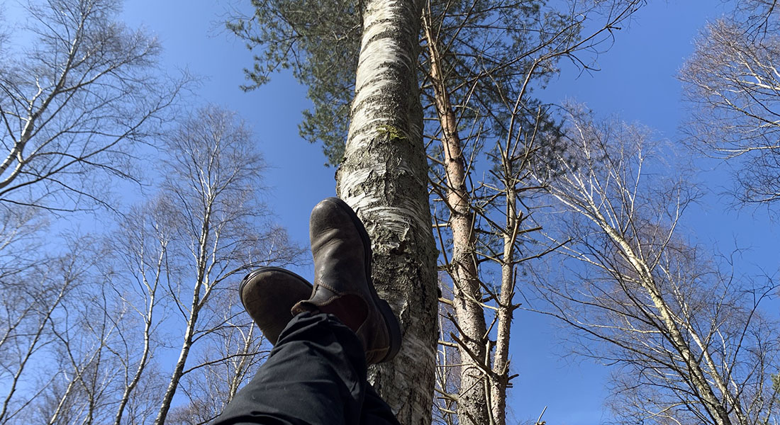 Menneske hviler benene op ad et træ