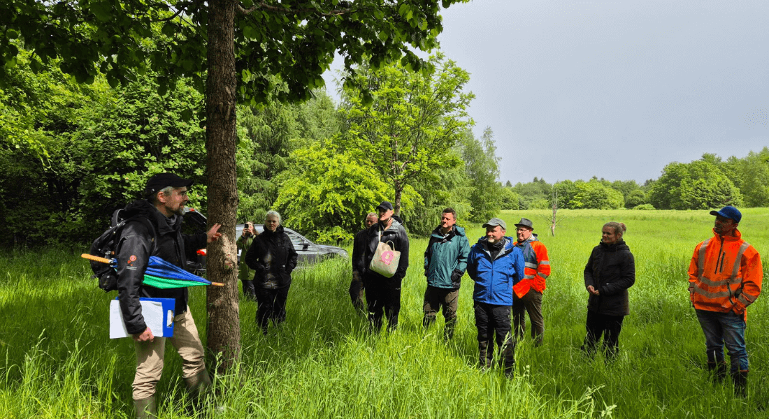 Folk på rundvisning Folk på rundvisning